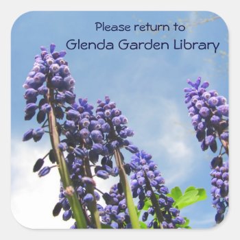Grape Hyacinths Bookplate ~ Sticker by Andy2302 at Zazzle