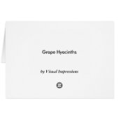 Grape Hyacinths Cards (Back Horizontal)