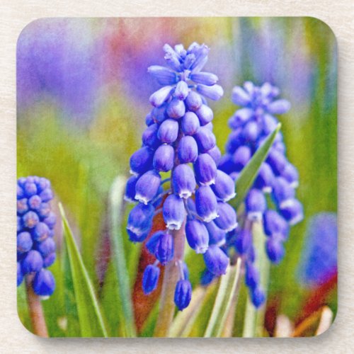 Grape Hyacinths Drink Coaster