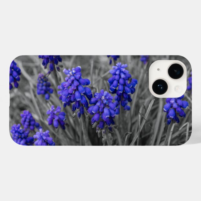 Grape Hyacinths Family Select iPhone Case (Back (Horizontal))