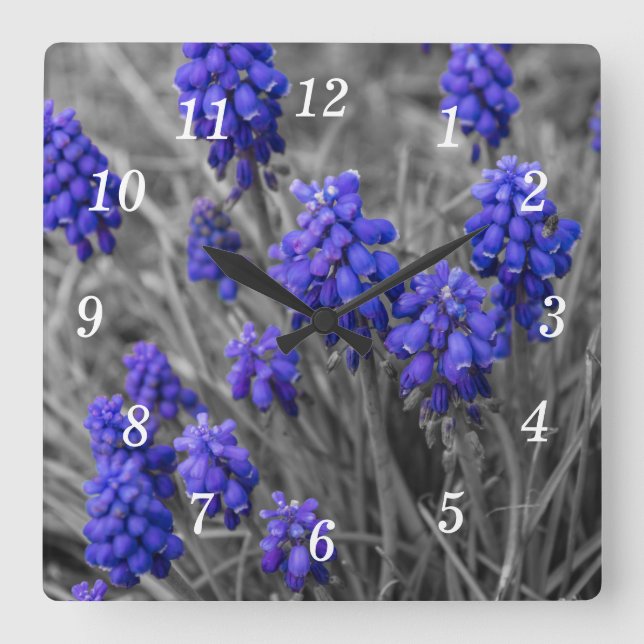 Grape Hyacinths Family Select Wall Clock (Front)