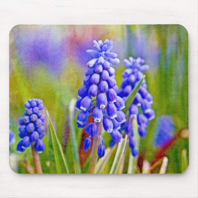 Grape Hyacinths Mouse Pad (Front)