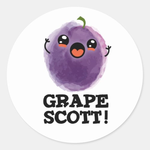 Grape Scott Funny Fruit Grape PUn Classic Round Sticker