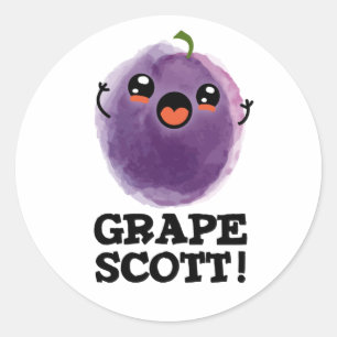 Grape Scott Funny Fruit Grape Pun  Classic Round Sticker