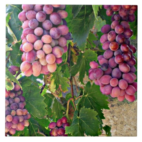 Grape Vine Ceramic Tile