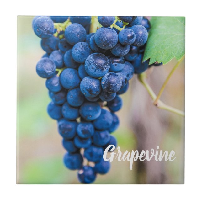 Grape Vine for wine and grapevine winegrower gift Ceramic Tile (Front)
