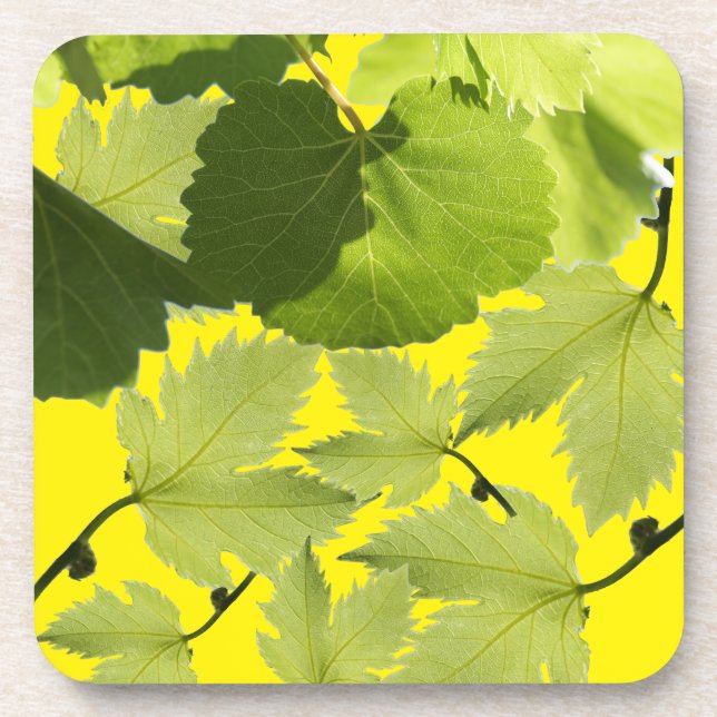 Grape Vine Green Leaves Beverage Coaster (Front)