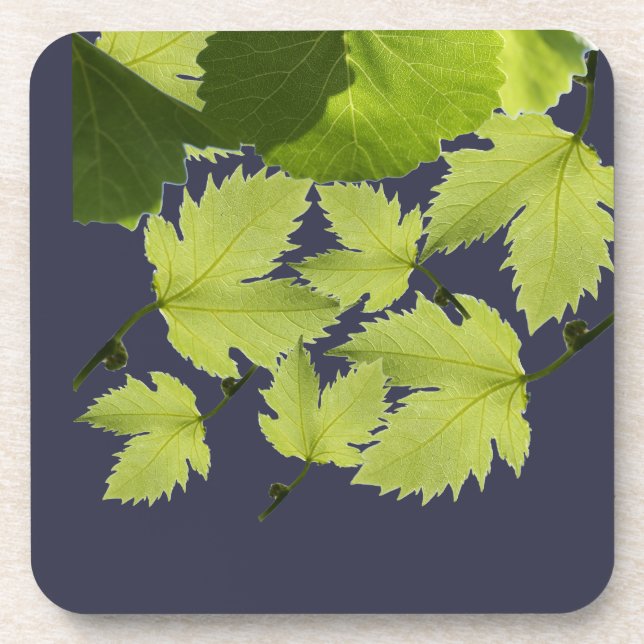 Grape Vine Green Leaves Beverage Coaster (Front)