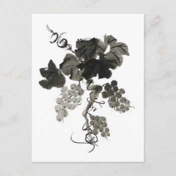 Grape Vine  Sumi-e Postcard by Flow_Studios at Zazzle