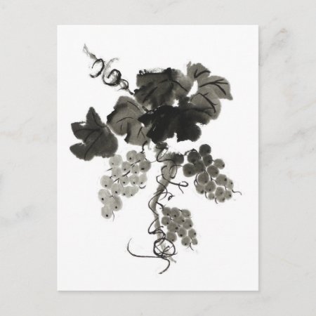 Grape Vine, Sumi-e Postcard