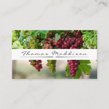 Grape Vine Vineyard Winery Business Card by TheFruityBasket at Zazzle