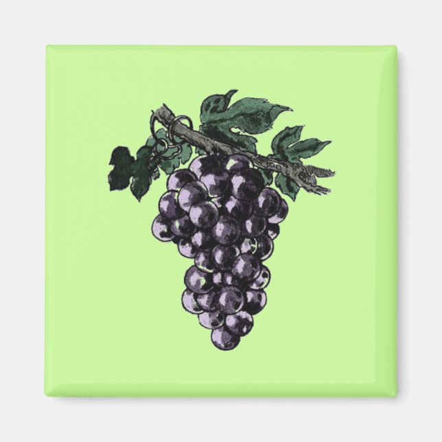 Grape Vines Magnet (Front)