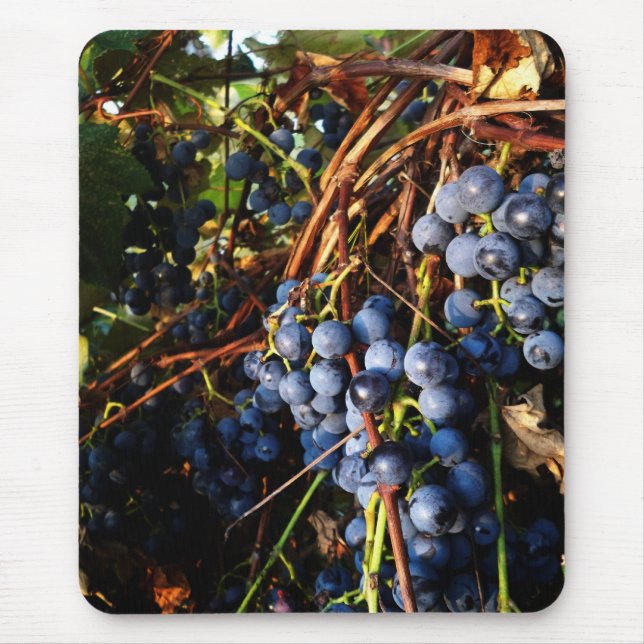 Grape Vines MP Mouse Pad (Front)