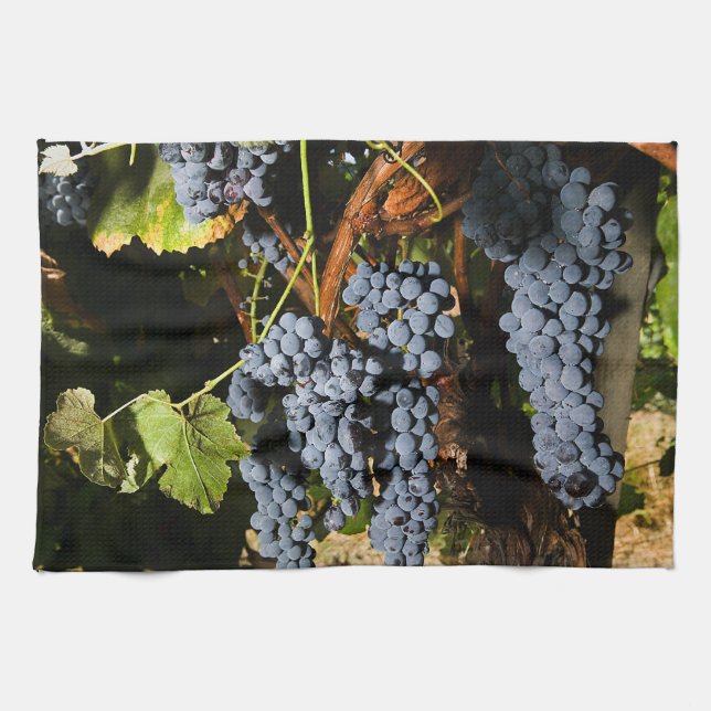 Grape Vineyard 2 Towel (Horizontal)
