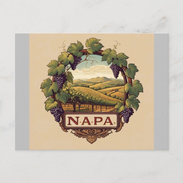 Grape Vineyard Napa Valley Souvenir  Postcard (Front)