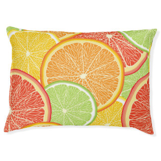 Grapefruit and orange abstract background. pet bed