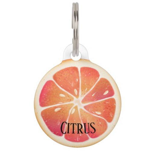 Grapefruit Citrus Fruit Personalized Pet ID Tag