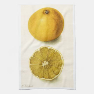Grapefruit Kitchen Towel