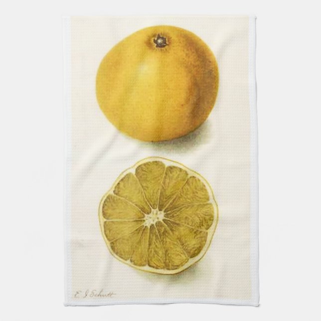Grapefruit Kitchen Towel (Vertical)