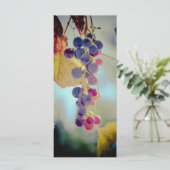 Grapes (Standing Front)