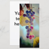 Grapes (Front/Back)