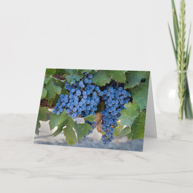 Grapes Blank Note Card (Front)