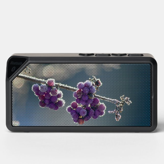 grapes  bluetooth speaker (Front)