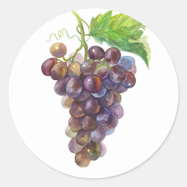 Grapes Classic Round Sticker (Front)