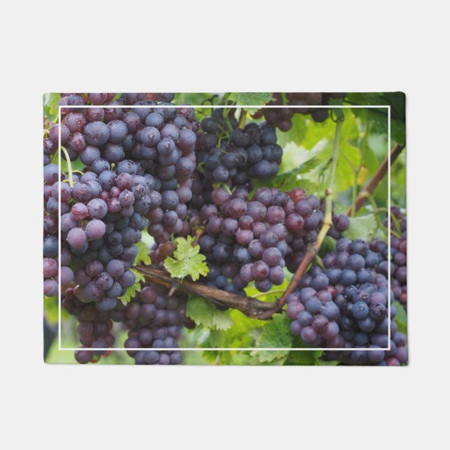 Grapes Door Mat (Front)