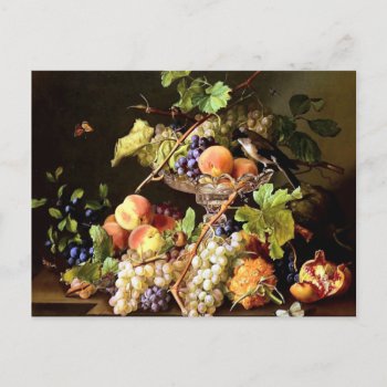 Grapes Fruit Bird Still Life Painting Postcard by EDDESIGNS at Zazzle