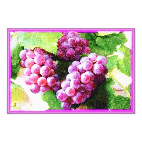 Grapes Fruit Plant Cute Photo Buy Now Photo Print