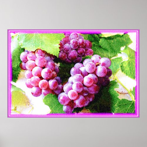 Grapes Fruit Plant Cute Photo Buy Now Poster