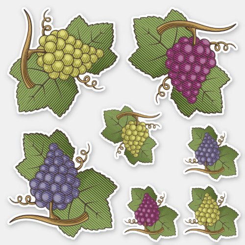 Grapes Icon Set Contour Stickers