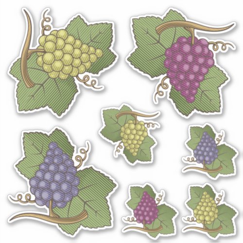 Grapes Icon Set Contour Stickers