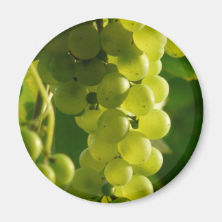 Grapes Magnet