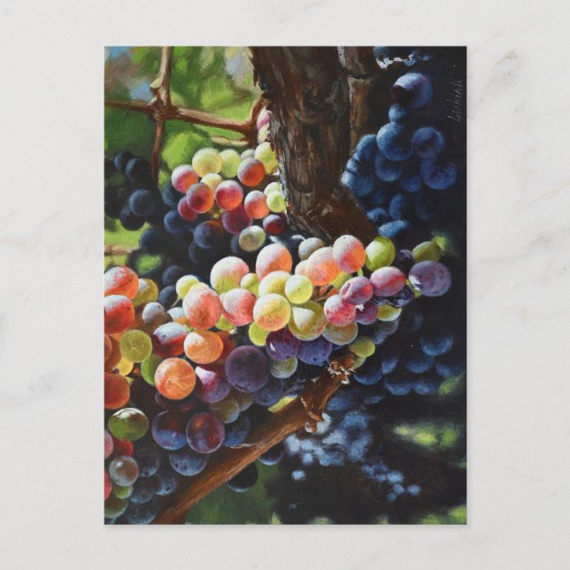 Grapes of Abundance for Wine Lovers & Wineries Postcard (Front)