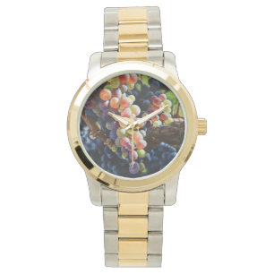 Grapes of Abundance for Wine Lovers & Wineries Watch