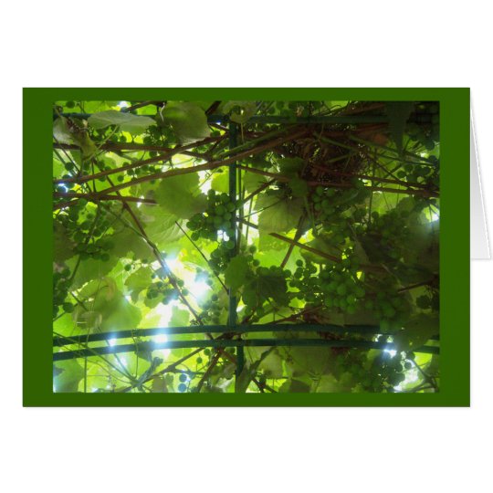 Grapes of Patience w Border Card