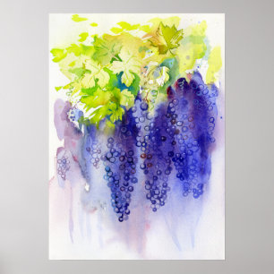 Grapes on a Sunny Day – Modern Watercolor Painting Poster