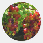 Grapes On A Vine Sticker at Zazzle