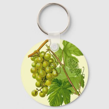 Grapes On The Vine Botanical Drawing Keychain by FalconsEye at Zazzle