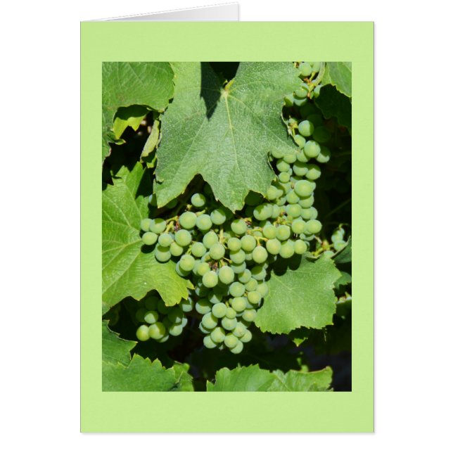 Grapes on the vine cards (Front)