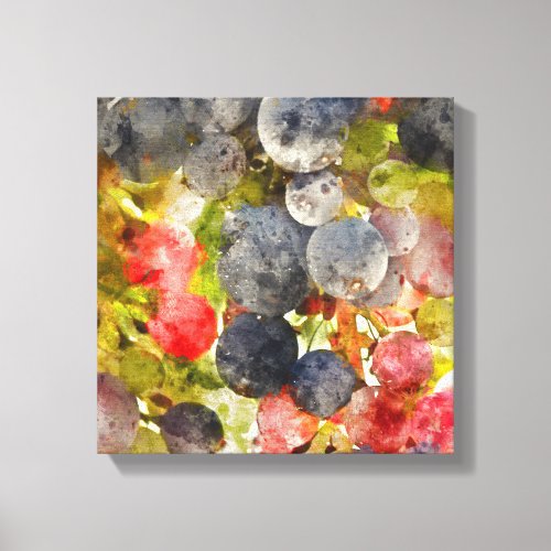 Grapes on the Vine ready to make Wine Canvas Print
