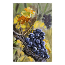 Grapes on the vine stump, Provence.