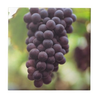 Grapes on the Vine Tile Trivet tile
