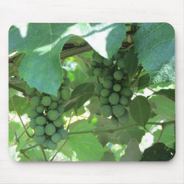 Grapes on the Vines Mouse Pad (Front)