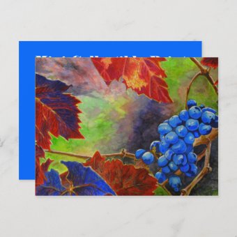 Grapes on Vine Mini Collectible Prints Postcard | Zazzle