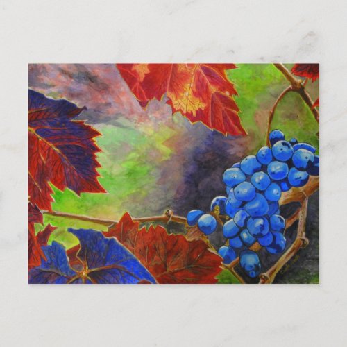 Grapes on Vine   Mini Collectible Prints Postcard