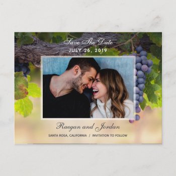 Grapes On Vines Photo Save The Date Card by marlenedesigner at Zazzle