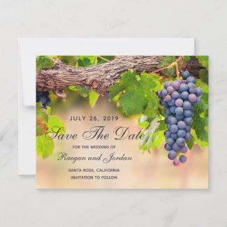 Grapes on Vines Save the Date Card